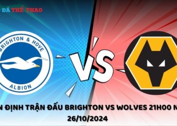 Nhận định Brighton vs Wolves 26/10/2024