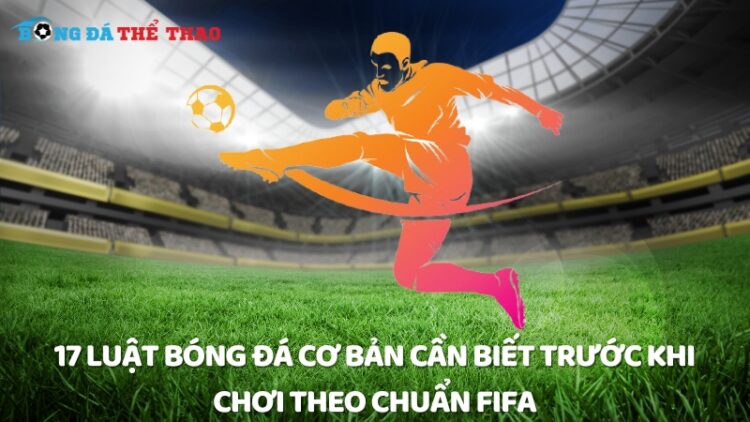 17 Luật bóng đá cơ bản cần biết trước khi chơi theo chuẩn FIFA 1 Luật bóng đá
