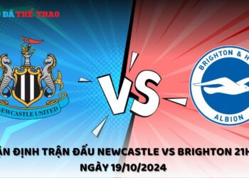 Nhận định Newcastle vs Brighton 19/10/2024