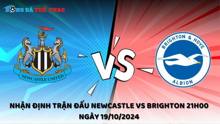Nhận định trận đấu Newcastle vs Brighton 21h00 ngày 19/10/2024 1 Nhận định Newcastle vs Brighton 19/10/2024