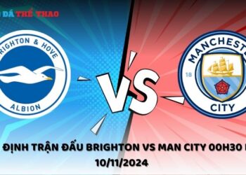 Nhận định Brighton vs Man City 10/11/2024