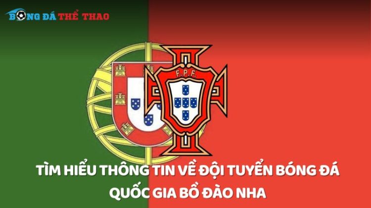 Tìm hiểu thông tin về đội tuyển bóng đá quốc gia Bồ Đào Nha 1 đội tuyển bóng đá quốc gia Bồ Đào Nha