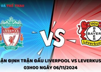 Nhận định Liverpool vs Leverkusen 06/11/2024
