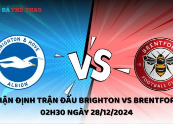 Nhận định Brighton vs Brentford ngày 28/12/2024