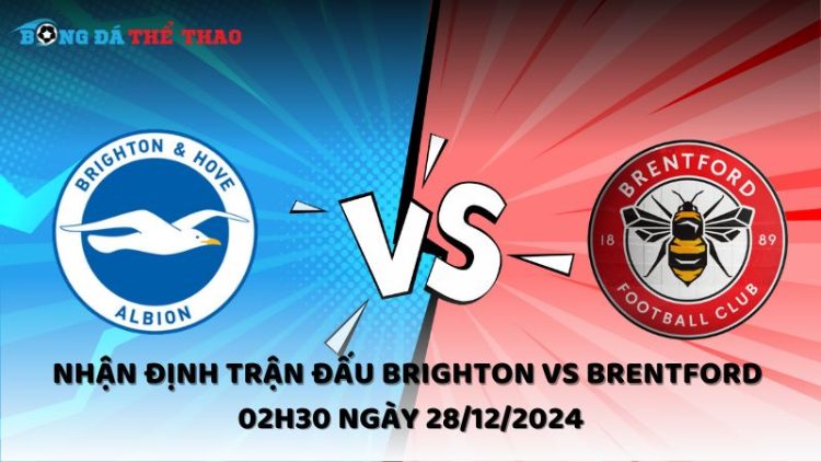 Nhận định trận đấu Brighton vs Brentford 02h30 ngày 28/12/2024 1 Nhận định Brighton vs Brentford ngày 28/12/2024