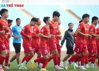 Cùng theo dõi Danh sách cầu thủ đội tuyển U20 Việt Nam và đón chờ những màn trình diễn ấn tượng