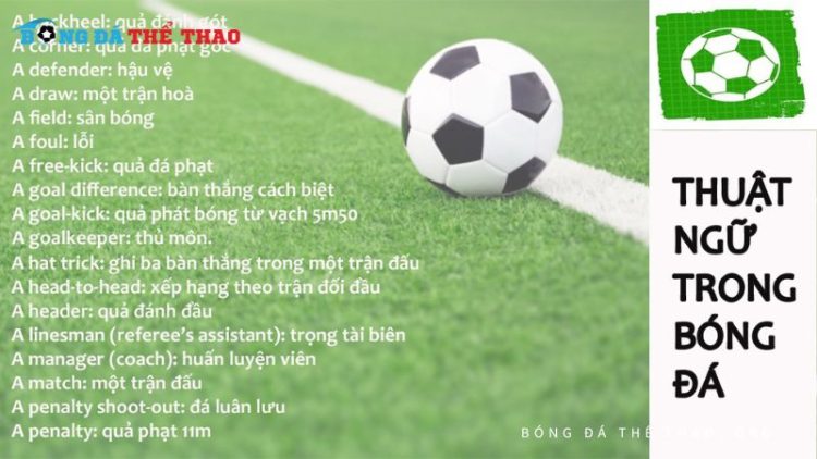 Thuật ngữ bóng đá: Thông tin cần biết để hiểu rõ môn thể thao vua 1 thuật ngữ bóng đá