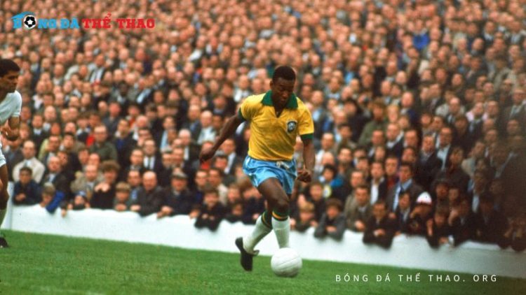 Top 10 tiền đạo hay nhất thế giới: Những “Sát Thủ” ghi bàn ngoạn mục 1 Top 10 tiền đạo hay nhất thế giới: Những “Sát Thủ” ghi bàn ngoạn mục